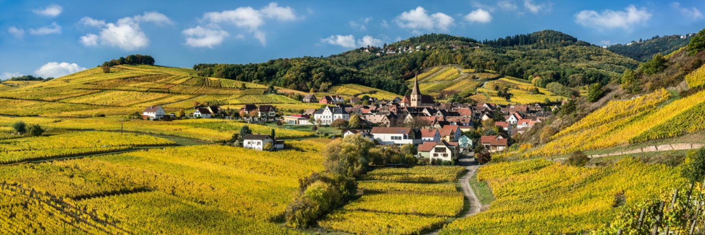 Herve Sentucq - Niedermorschwihr, au pied des Vosges, Alsace