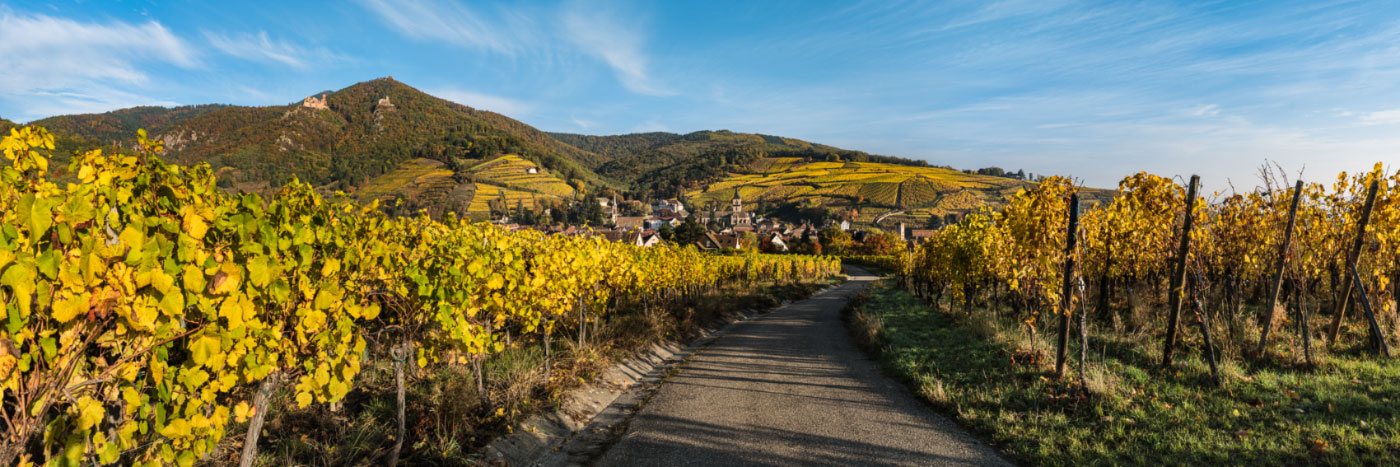 Herve Sentucq - Route des vins d'Alsace, Ribeauvillé, dominé par les châteaux de Saint-Ulrich et de Girsberg et le donjon du Haut-Ribeaupierre, Vosges