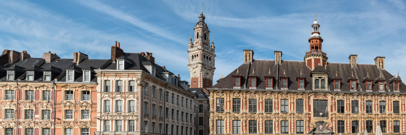 Herve Sentucq - La Vieille Bourse et le Beffroi, Grand'Place de Lille
