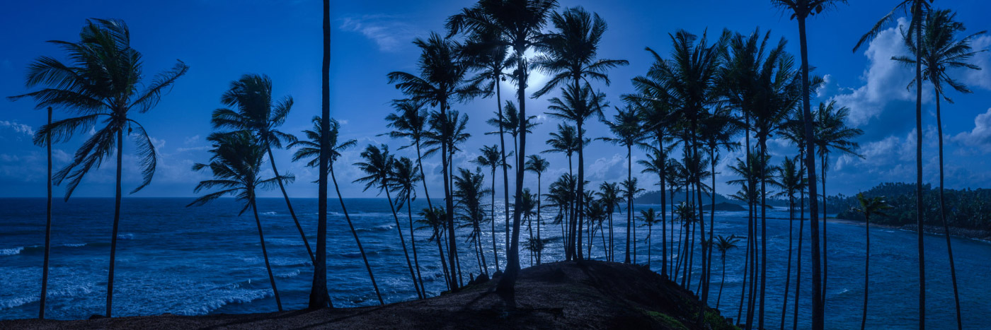 Herve Sentucq - Coucher de lune derrière les palmiers, Mirissa
